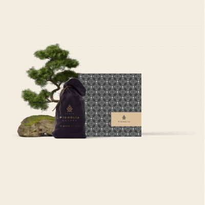 PIGNOLIA-05