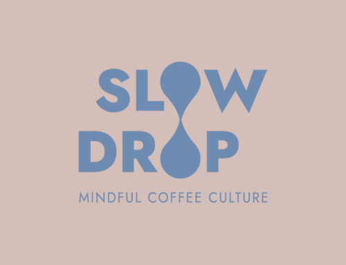 SLOWDROP
