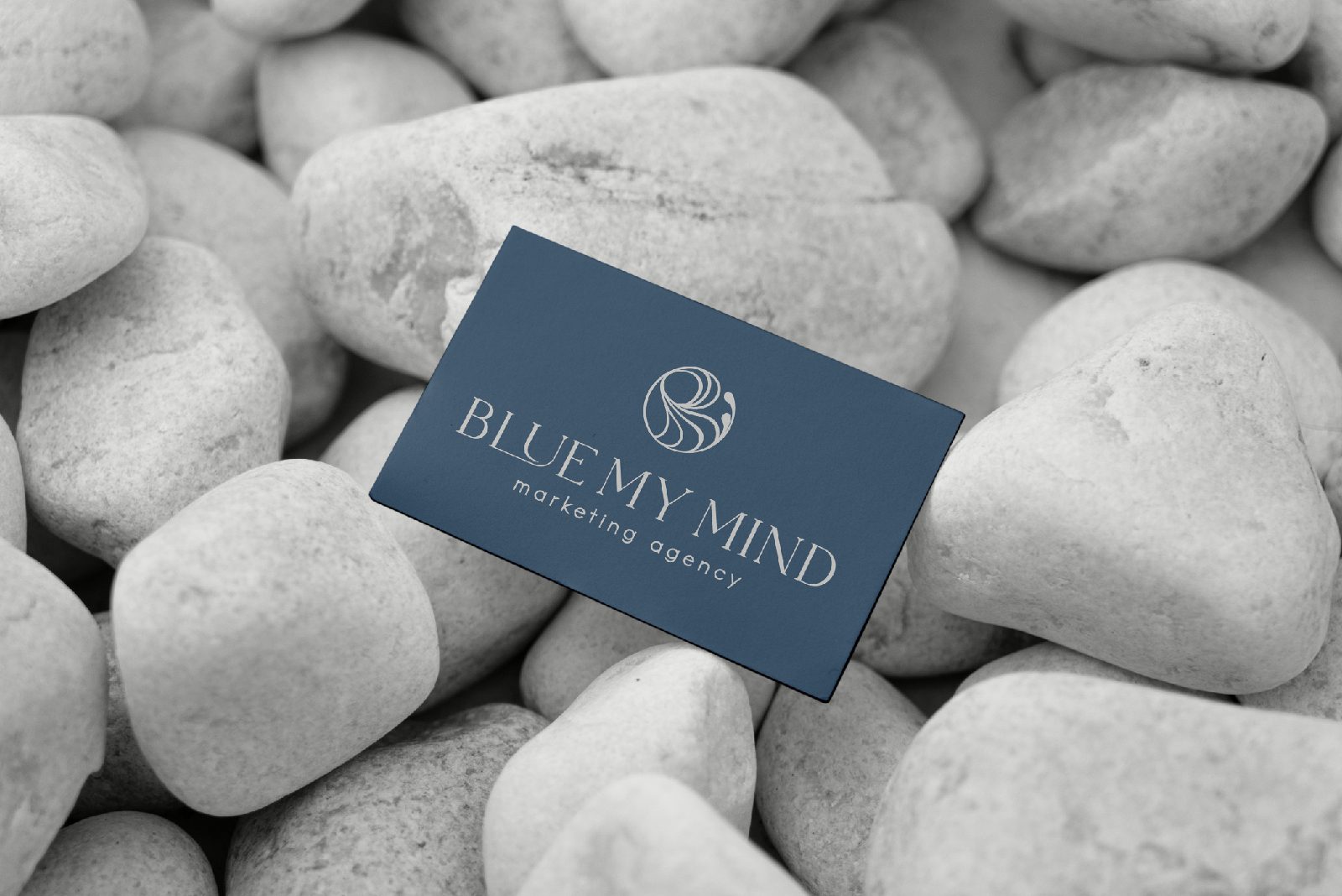 BLUEMYMIND MARKETING AGENCY BRANDING LOGO DESIGN 3