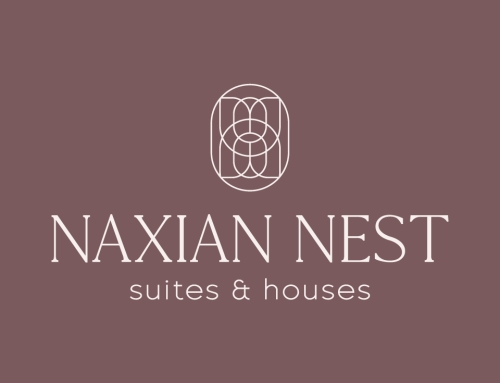 NAXIAN NEST